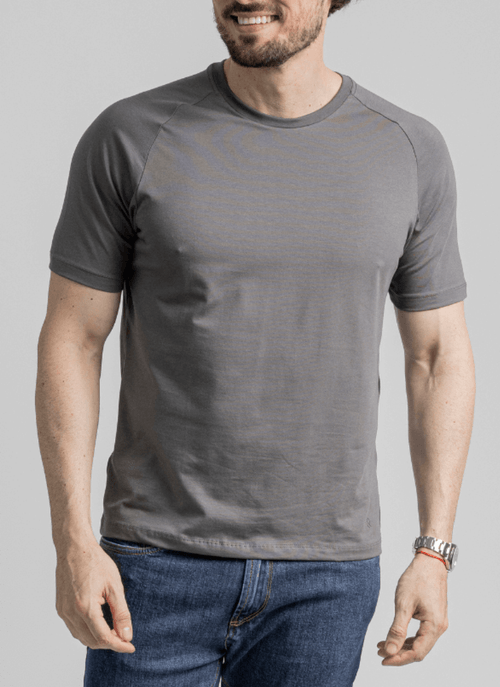 Camiseta Masculina Raglan Pima Balance Chumbo